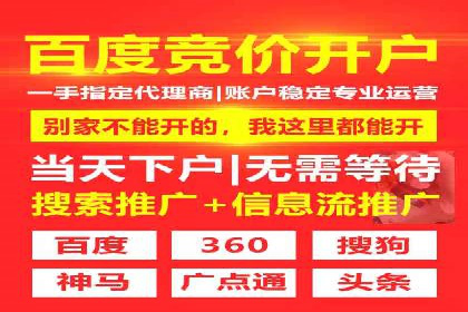 百度竞价：从入门到精通，快速实现盈利的案例集